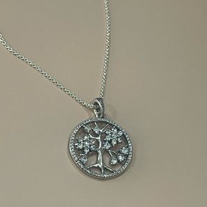 NWOT Pandora Necklace and Earrings Set